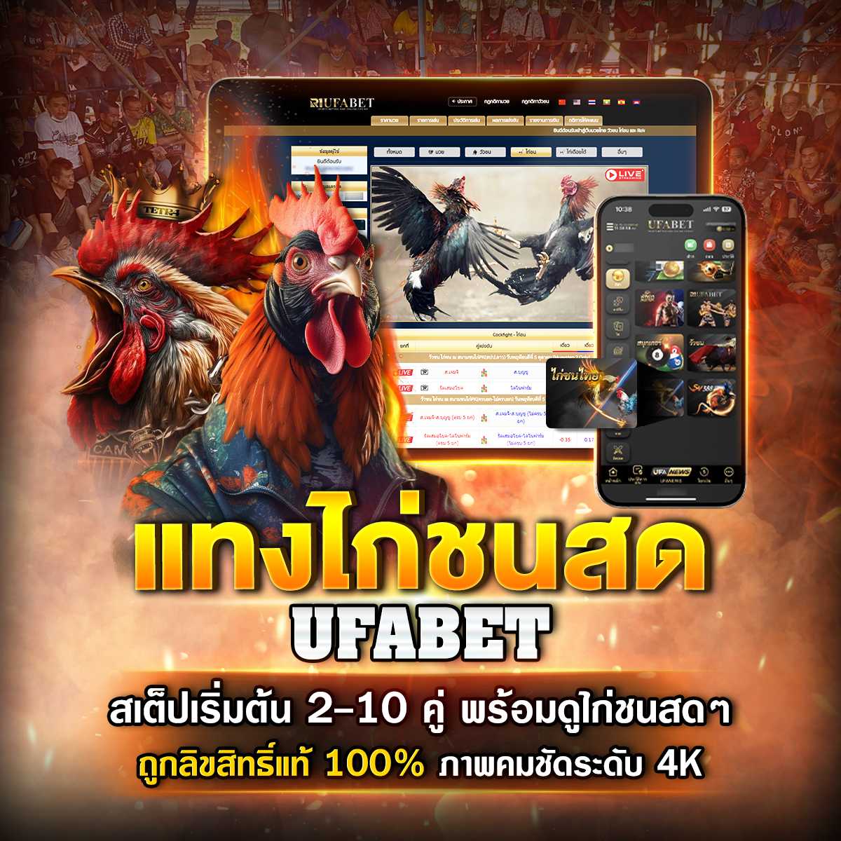 แทงไก่ชน UFABET สนุกง่าย ได้เงินจริง พร้อมเคล็ดลับวิเคราะห์ไก่ชนแบบเซียนมือโปร