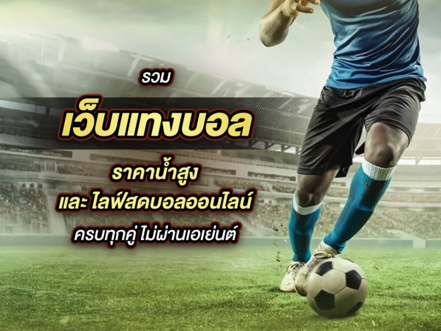 เว็บแทงบอล ufa จุดเริ่มต้นของความสนุกที่มากกว่าแค่เดิมพัน