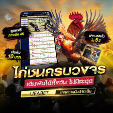 เว็บไก่ชนออนไลน์ ufabet