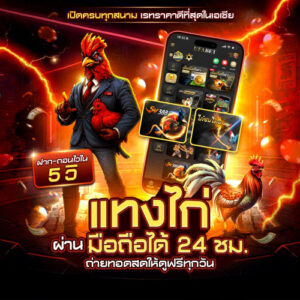 แทงไก่ชน UFABET